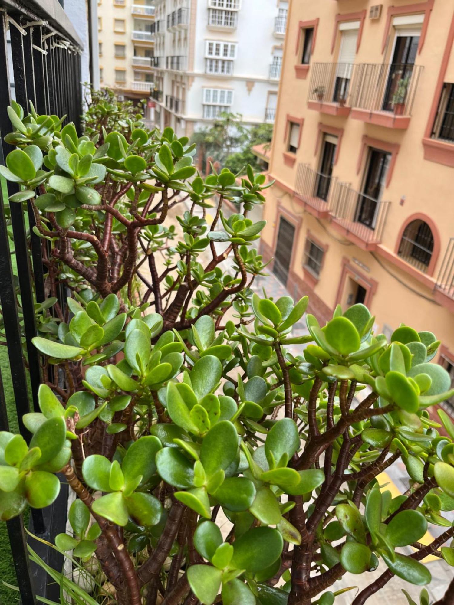 Small Apartamento *